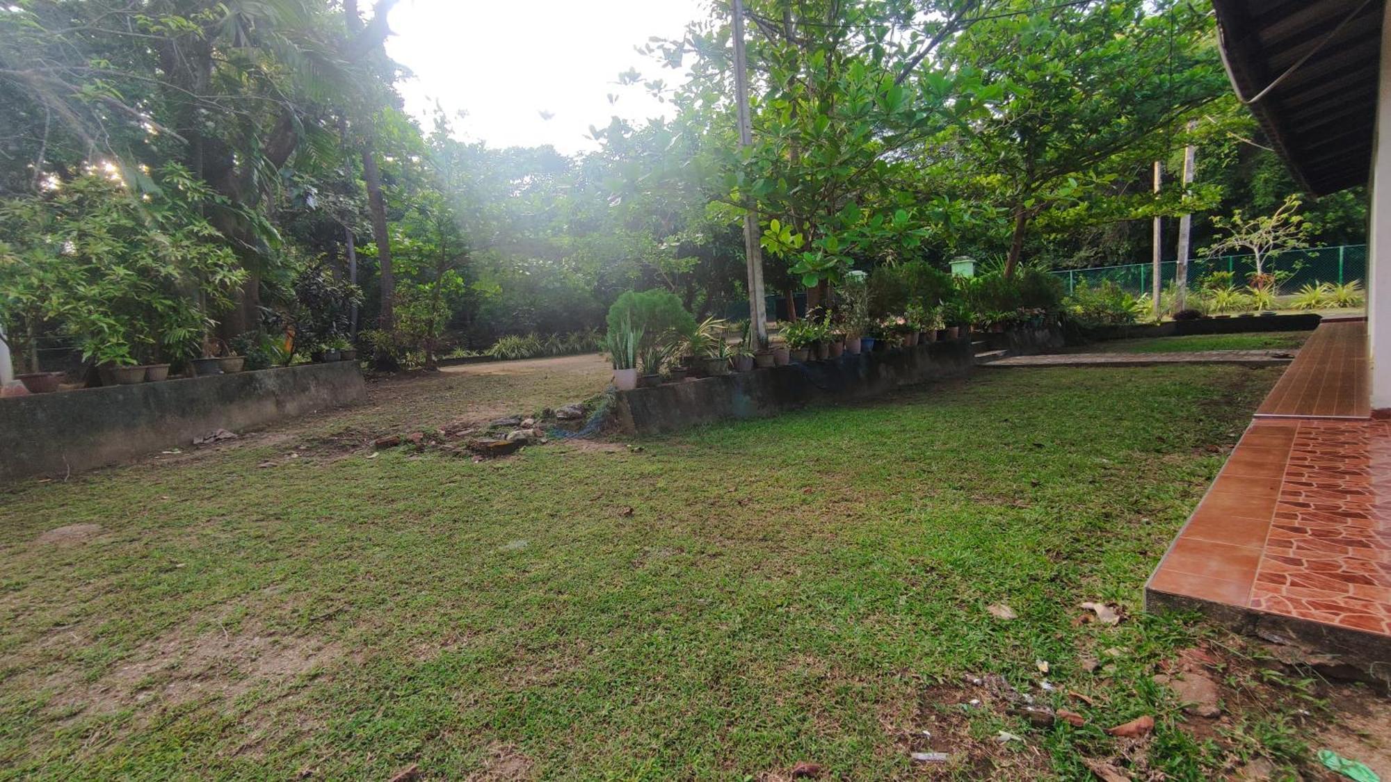 Deer Garden Guest Hotell Polonnaruwa Exteriör bild
