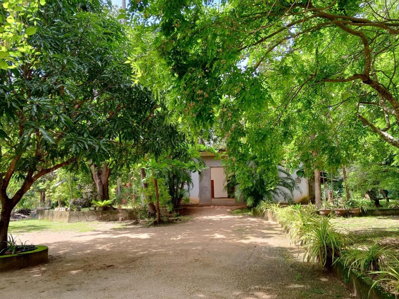 Deer Garden Guest Hotell Polonnaruwa Exteriör bild